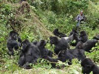 Best Things to Carry for Gorilla Tracking Rwanda.jpg