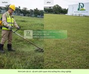 cắt cỏ dọn dẹp vệ sinh cảnh quan 2.jpg
