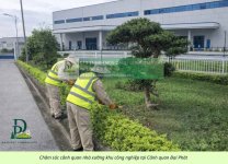 chăm sóc cảnh quan công ty nhà xưởng khu công nghiệp 090226 4.jpg