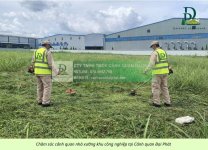 chăm sóc cảnh quan công ty nhà xưởng khu công nghiệp 090226 8.jpg