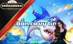 tip-ban-ca.jpg