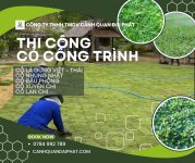 thi công cỏ nhung nhật nhà máy nhà xưởng Đồng Nai 5.jpg