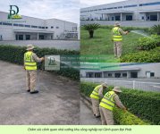 chăm sóc cảnh quan công ty nhà xưởng khu công nghiệp 090226 9.jpg
