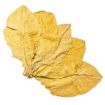 Virginia Bright Tobacco Leaves 1.jpg