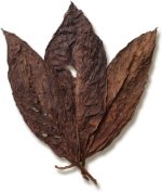 Order dark air cured tobacco.jpg