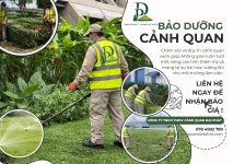 01. chăm sóc cảnh quan sân vườn 190426 1.jpg