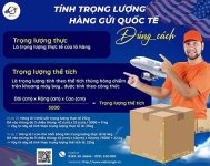 vietcargo link 1.jpg