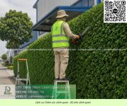 Dịch vụ Bảo dưỡng cảnh quan cắt cỏ doanh nghiệp 050626 3.jpg