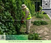 Dịch vụ chăm sóc cây xanh - cắt cỏ doanh nghiệp đồng nai 270526 4.jpg