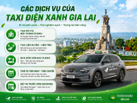 cac-dich-vu-taxi-xanh-gia-lai.png