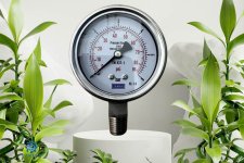 66666.jpg