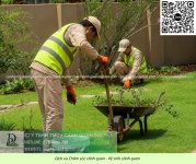 Dịch vụ Bảo dưỡng cảnh quan cắt cỏ doanh nghiệp 050626 4.jpg