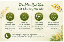 tra_moc_que_hoa_hinh_2 (1).png