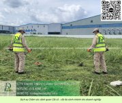 0. Dịch vụ cưa cây cắt cỏ doanh nghiệp đồng nai 050226 1.jpg