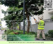 03. Dịch vụ cưa cây cắt cỏ doanh nghiệp đồng nai 050226 2.jpg
