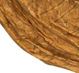 Orient Samsoun Tobacco Leaves 1.jpg