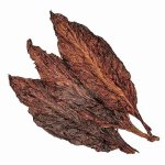 Black Fronto for sale.jpg