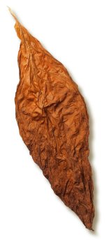 Glasgow Magistrate Wrapper 2.jpg