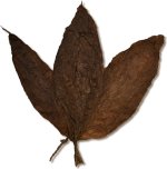 Brazilian Arapiraca Binder Tobacco.jpg