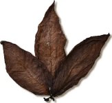 Brazilian Cured Foiano Tobacco.jpg