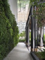 Khu vườn trên cao kết nối trực tiếp với phòng nghỉ.jpg