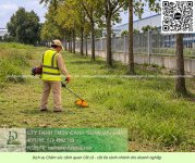 Dịch vụ cưa cây cắt cỏ doanh nghiệp đồng nai 050226 8.jpg