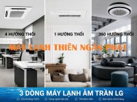 MAY-LANH-AM-TRAN-LG.jpg