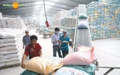 cac-cong-ty-san-xuat-gao-lon-nhat-viet-nam-2.jpg