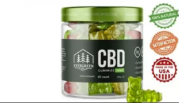Evergreen CBD Gummies Canada.PNG