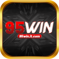 95winitcom