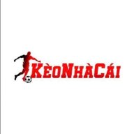 tylekeonhacaila