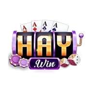 99haywincom