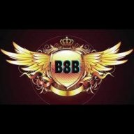 b8b1org2