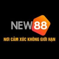 new88ccooo