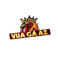vuagaazsite
