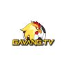 gavang000016tv