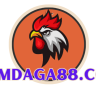 dagatructiep88